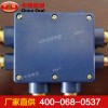 JHH型礦用本安電路用接線盒生產(chǎn)廠家