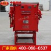 BGP9L隔爆高壓真空配電裝置,BGP9L隔爆高壓真空配電裝置生產(chǎn)廠家
