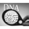 納泓DNA鑒定中心