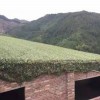 防航拍偽裝網迷彩網遮光網戶外叢林迷彩遮陽網布綠化軍綠色網