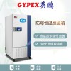 化學室防爆恒溫恒濕試驗箱