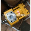 NT4-G63F內(nèi)嚙合齒輪泵 高壓泵