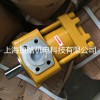 折彎機(jī)專用液壓油泵 NT4-G50F內(nèi)嚙合齒輪泵