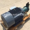 YQB180L-4 22KW直插式油泵電機配套CY柱塞泵