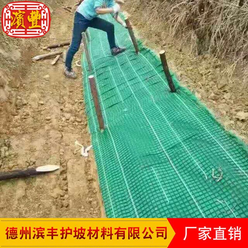 綠色植被墊.jpg