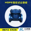 hdpe旋啟式止回閥