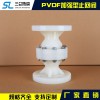 PVDF加強型止回閥  廠家直銷