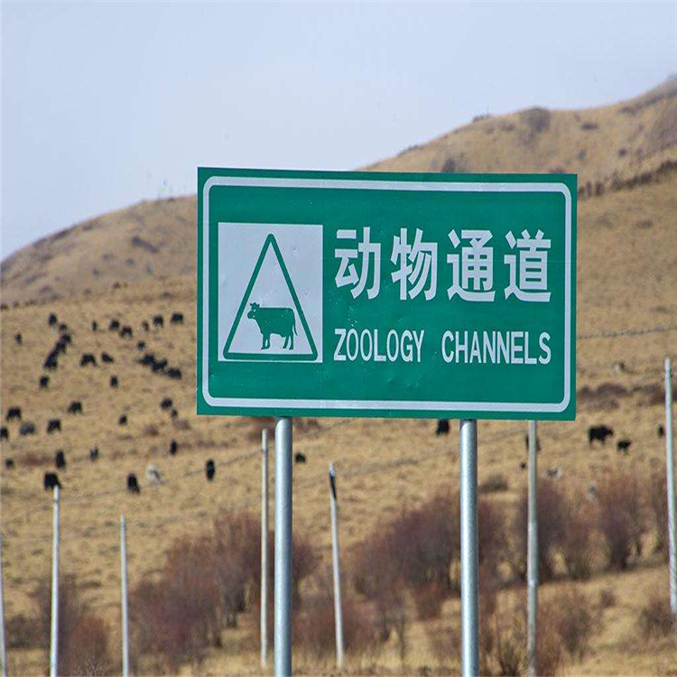 雙柱式標志牌_副本