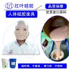 耐酸堿人臉面具硅膠人體硅膠
