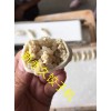 江蘇南京餃子機 手工餃子機 東北大克數水餃包制設備 廚房面食設備
