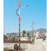 太陽(yáng)能路燈,YN-1001