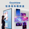 仙視 /Goodview 信息發(fā)布播放盒多媒體播放盒 DP10