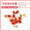 抑菌緊致精華膠囊私密源頭廠家加工生產貼牌供應