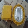 BFC8183 LED防爆泛光燈