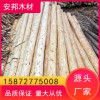 杉木桿杉木 原產地批發 好貨源 好品質 歡迎來電洽談