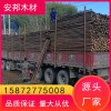 杉木桿杉木 原產地批發 好貨源 好品質 歡迎來電洽談