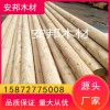 綠化桿 園林綠化工程 綠化樁 杉木綠化桿 綠化桿基地 綠化桿廠家