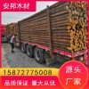 杉木樁杉木 原產地批發 好貨源 好品質 歡迎來電洽談
