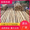 杉木桿杉木 原產地批發 好貨源 好品質 歡迎來電洽談