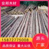 杉木樁杉木 原產地批發 好貨源 好品質 歡迎來電洽談