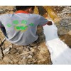 惠州廠房漏水找專業防水補漏公司有哪些