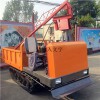 專業生產銷售履帶小吊車，小型農用履帶吊，水田履帶吊