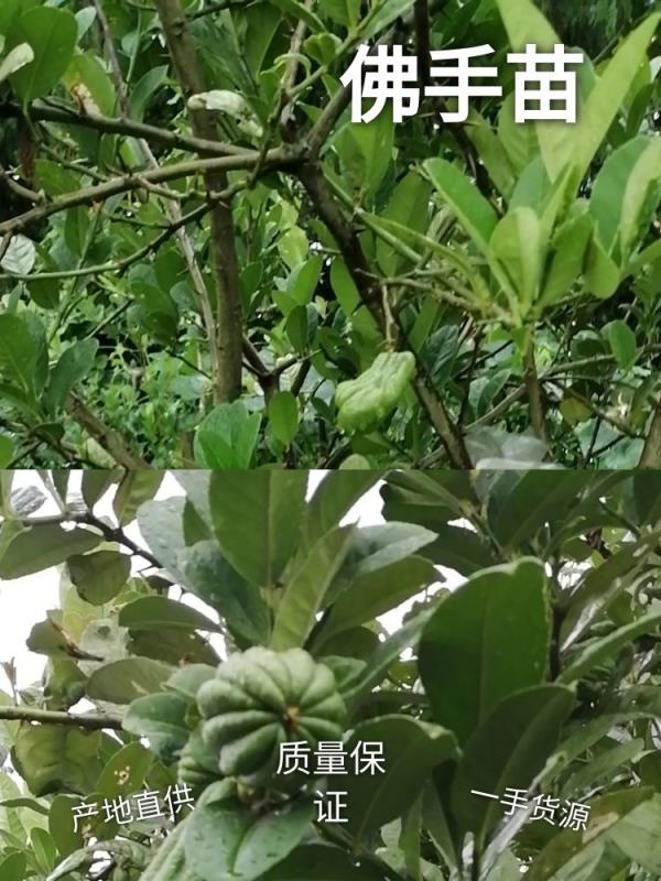 d0bce65d7b5086cb9eb63ff679d16ce7.jpg