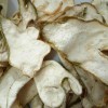 川佛手價格. 川佛手畝產(chǎn)量. 佛手一畝地種多少株