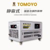 大澤動力10KW靜音小型汽油發電機