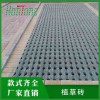 水泥植草磚-弘通建材