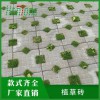 新型植草磚-弘通建材