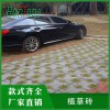 廣州植草磚生產(chǎn)廠家