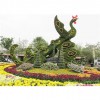 價格實惠 立體花壇供應商-軒軒景觀