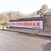 銅陵雅樂士漆戶外鄉鎮廣告一樣的流派不一樣的做
