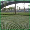 水泥植草磚-弘通建材