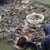 德宏成品魚漁場現(xiàn)貨免費(fèi)送貨上門