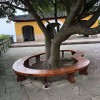 【森林之友】非洲菠蘿格防腐木-價(jià)格實(shí)惠