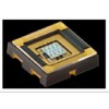 NVSU333A（圖片）NVSU333A供應商中文資料！