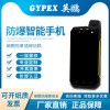 煤礦廠、實驗室防爆智能手機 DL01