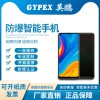 化工廠防爆手機Exmp 1407