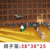 玻璃鋼格柵板 鴿舍