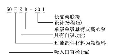 圖片6