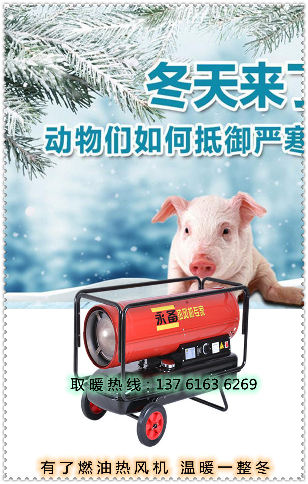 冬季取暖燃油熱風(fēng)機(jī)（1）