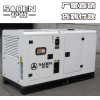 薩登10KW大型柴油發電機靜音康明斯柴油發電機組