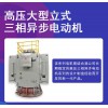 高壓大型立式三相異步電動機  功率大 噪音低
