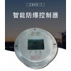 智能防爆控制器 集成度高穩定性強