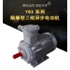 YB3 系列隔爆型三相異步電動(dòng)機(jī)  理想的動(dòng)力設(shè)備