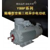 YBBP 系列隔爆型變頻三相異步電動機