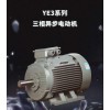 YE3 系列三相異步電動機