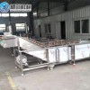 可定制不銹鋼翻浪式清洗機 柑桔氣泡清洗機 百香果商用清洗流水線